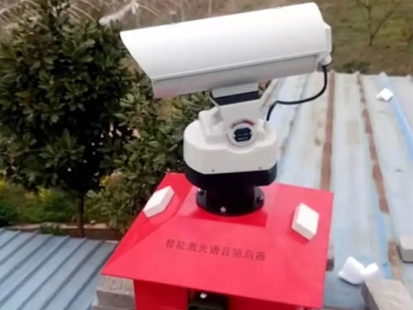 韩国捕杀家禽引来的思考，杜绝病源陕西有啥招