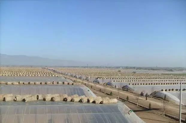 5fd8aaeb3a827.jpg 03.jpg