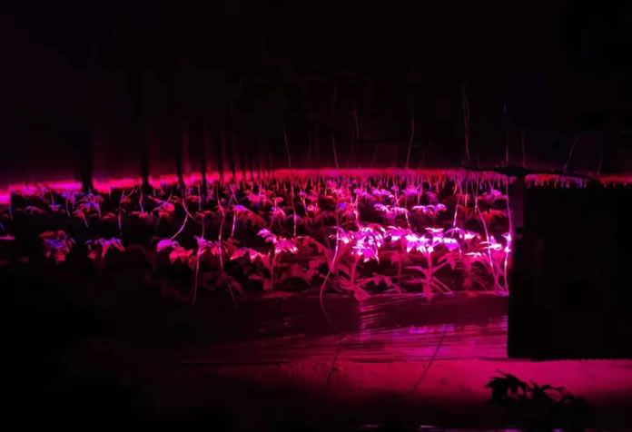 5fe06d6da31d6.jpg 02.jpg