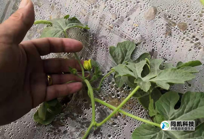 5fe1674e6920e.jpg 02.jpg