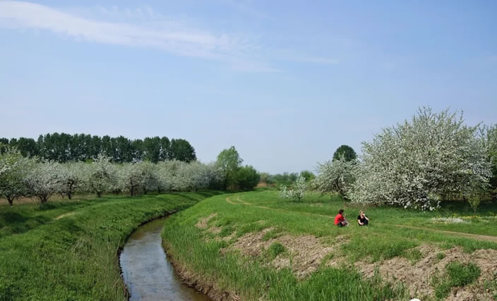 5fea9d4b30f8f.jpg 03.jpg