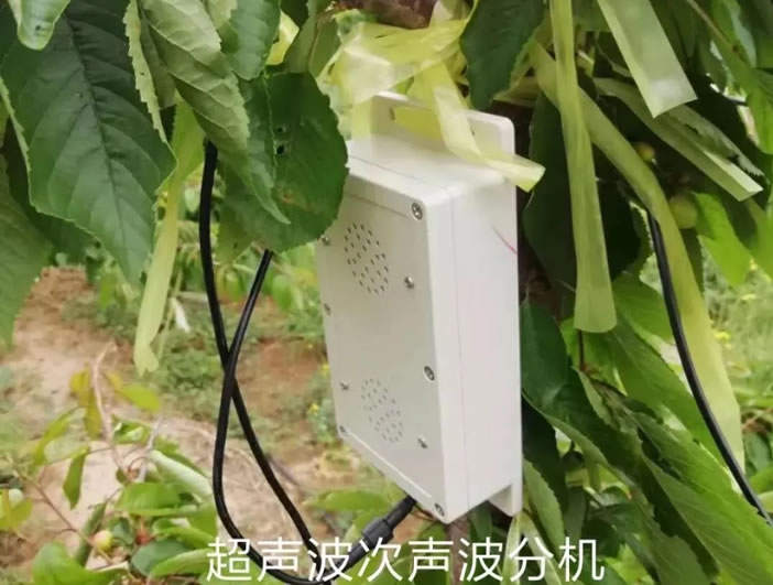 5fea9d5237b76.jpg 04.jpg