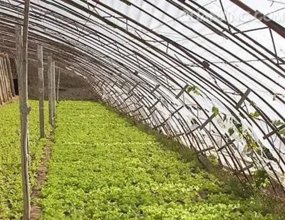 5fec7248e8e3e.jpg 01.jpg