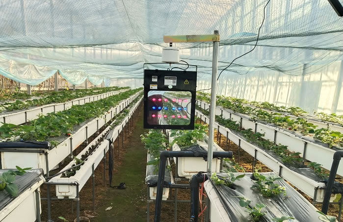 5fef2bf92e1d6.jpg 02.jpg