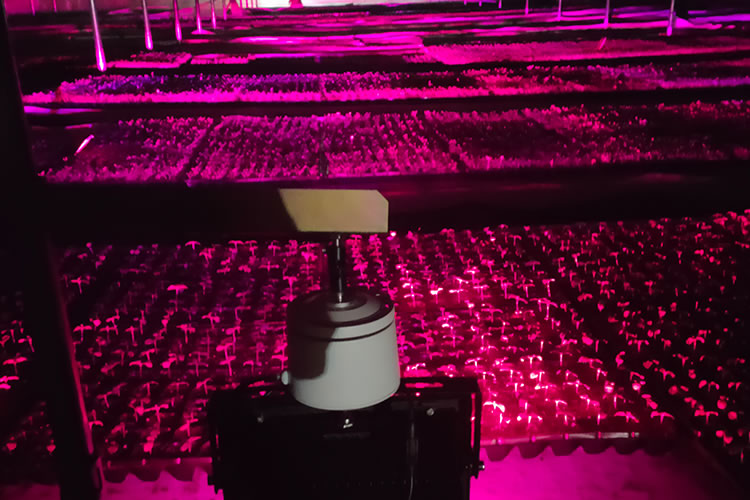 5ff2807a456c2.jpg 01.jpg