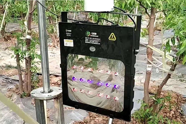 5ff280822afd2.jpg 002.jpg