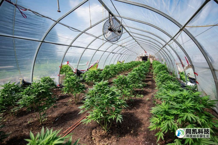 5ff5145515587.jpg 02.jpg