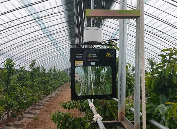 植物补光灯品牌排行榜