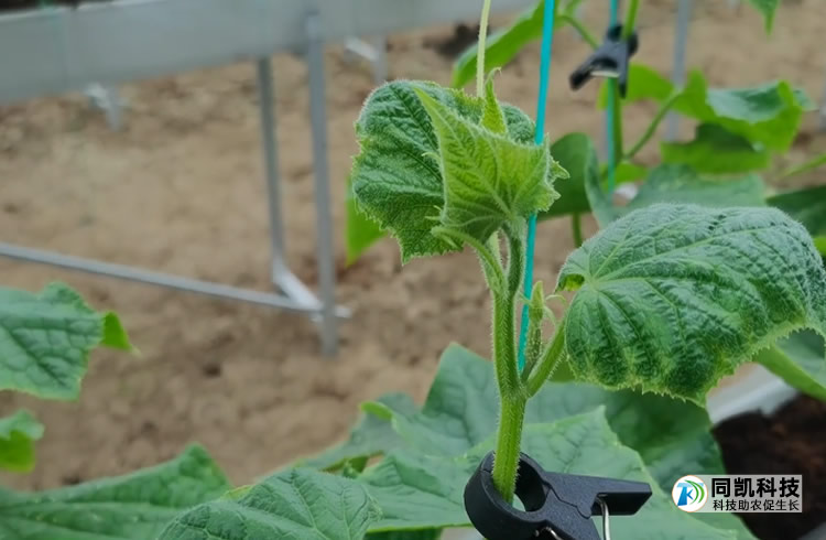 5ff8040ee8ae9.jpg 02.jpg