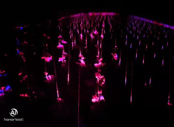 大棚黄瓜补光灯有用吗?看聊城客户怎么说