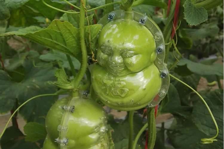 6003aaaa3cbac.jpg 01.jpg