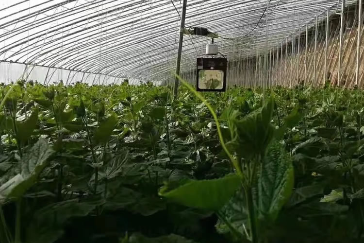 6003aae786243.jpg 05.jpg