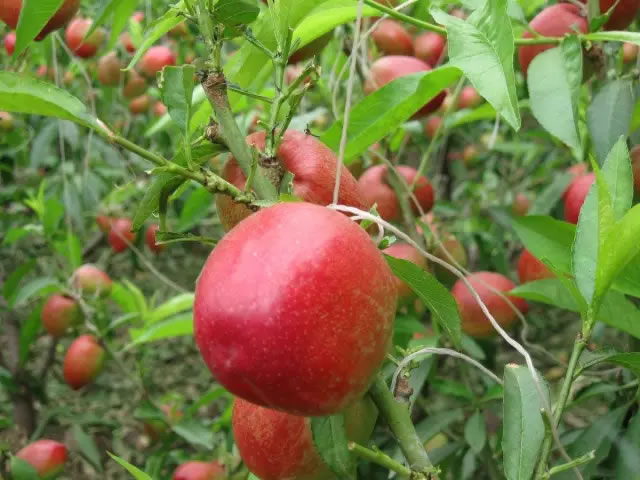 60057fc86a286.jpg 02.jpg