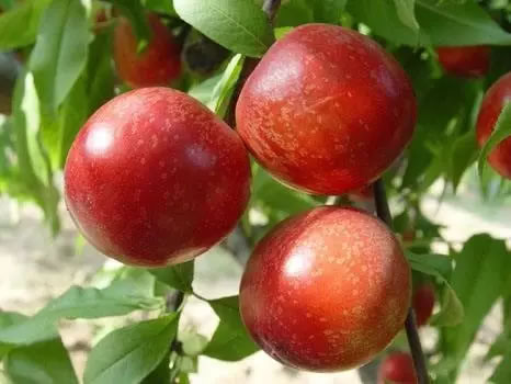 60057fe577cfb.jpg 04.jpg