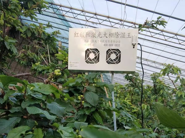 激光大棚除湿机在下河口屯安装案例