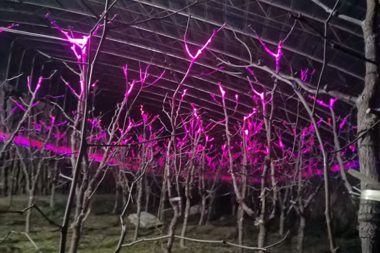 601df2aeedf2a.jpg 03.jpg