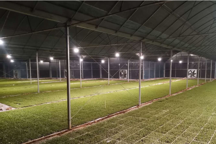 601df2dec22c7.jpg 2.jpg