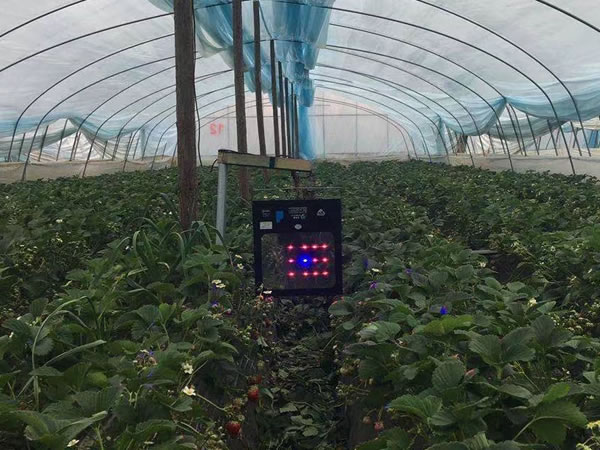 激光植物补光灯如何选择效果好?